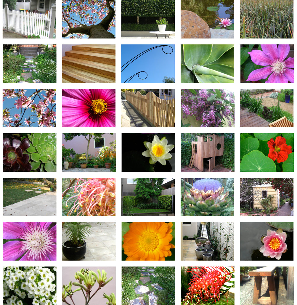 humus sustainable gardens